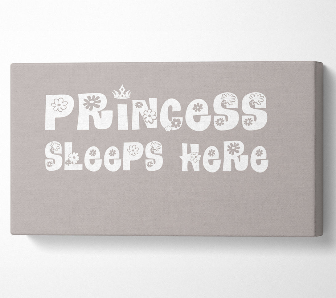  A Canvas Print of Princesss Sleeps Here Beige Canvas Art