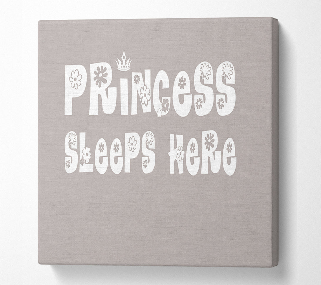  A Canvas Print of Princesss Sleeps Here Beige Canvas Art