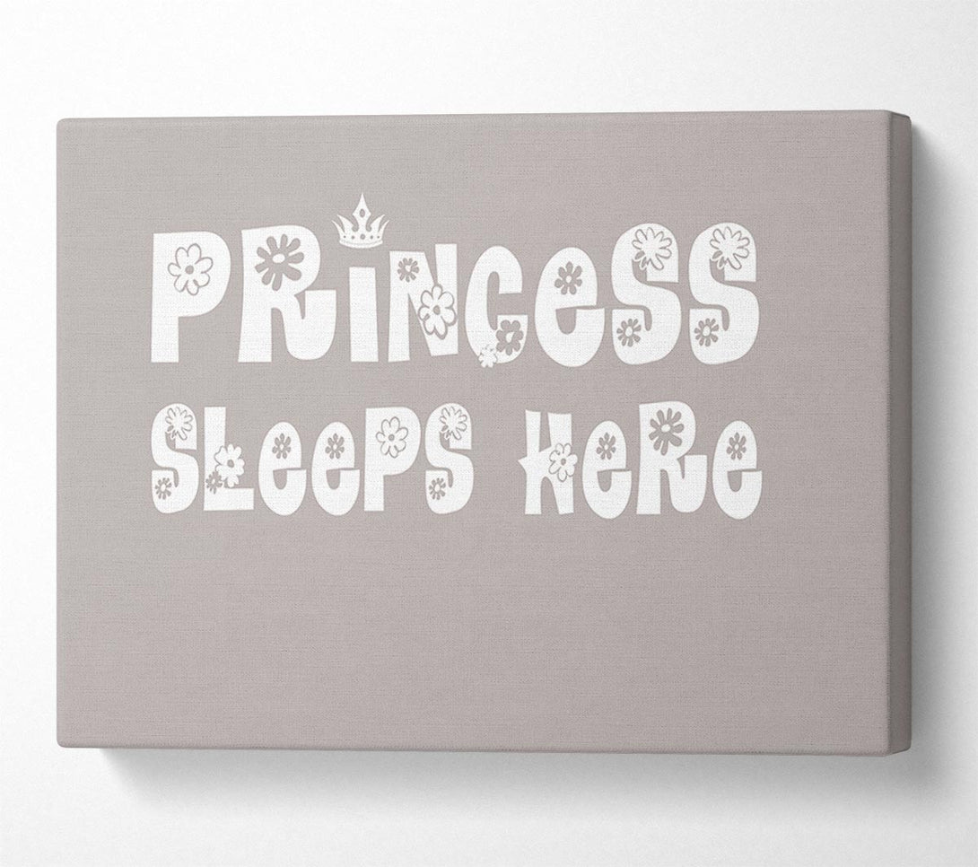  A Canvas Print of Princesss Sleeps Here Beige Canvas Art