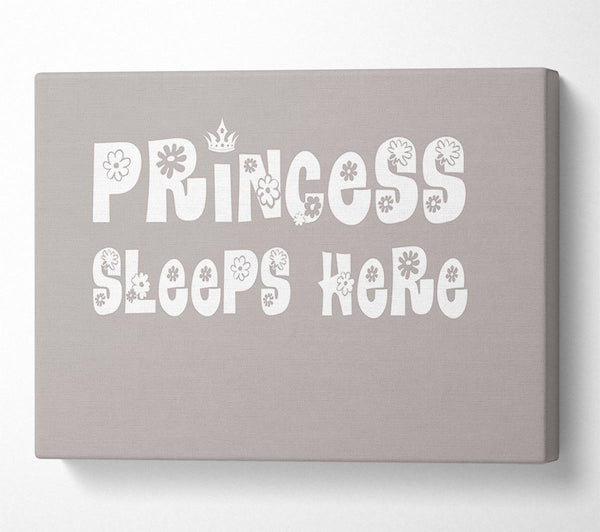  A Canvas Print of Princesss Sleeps Here Beige Canvas Art