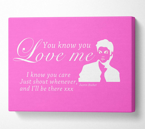  A Canvas Print of Music Quote You Know You Love Me Justin Bieber Vivid Pink Canvas Print