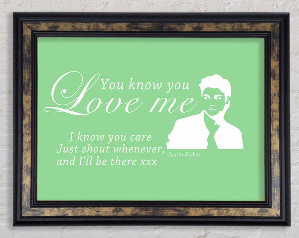 Music Quote You Know You Love Me Justin Bieber Green Framed Print