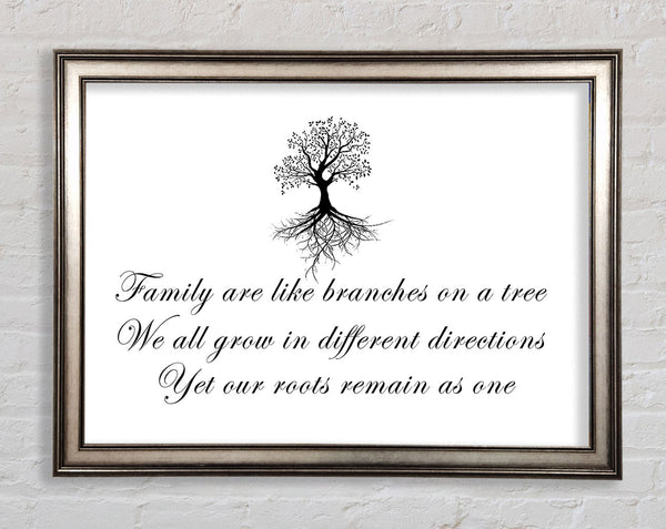 Family Quote Family Are Like Branches White Framed Print