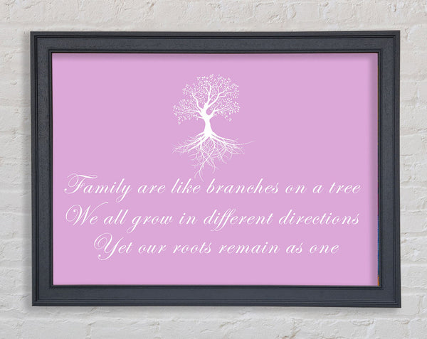 Family Quote Family Are Like Branches Pink Framed Print