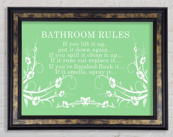 Bathroom Quote Bathroom Rules 2 Green Framed Print