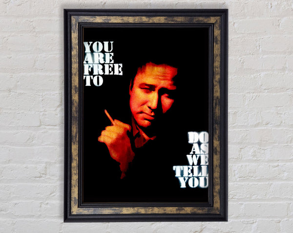 Motivational Quote Bill Hicks You Are Free Framed Print
