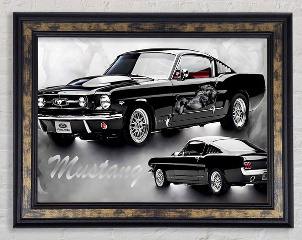 Mustang Fastback 67 Black Framed Print