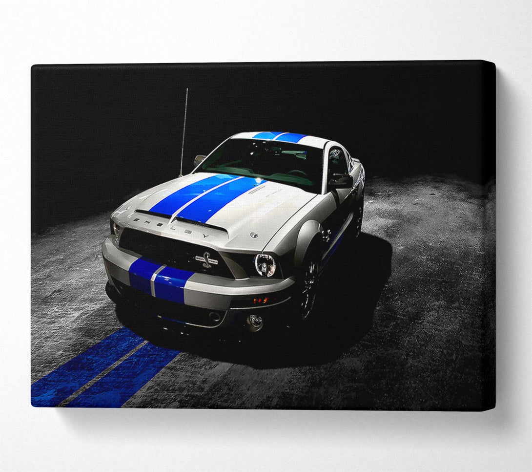  A Canvas Print of Ford Mustang Shelby Gt500 2013 Canvas Print