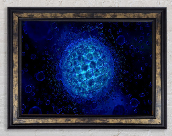 Ocean Planet Framed Print