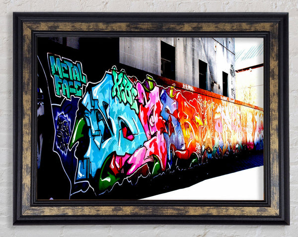 Metal Face Framed Print