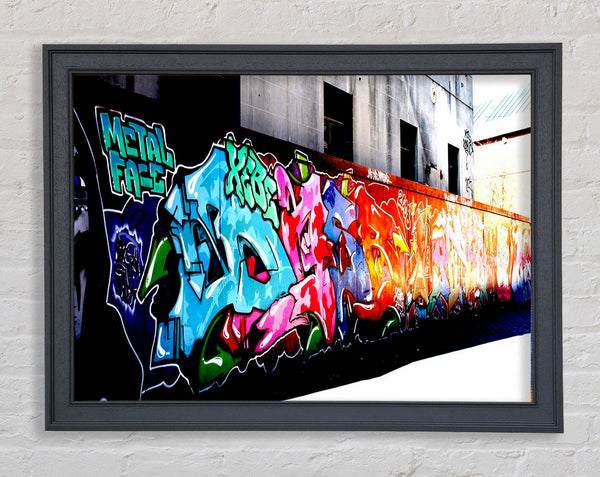 Metal Face Framed Print