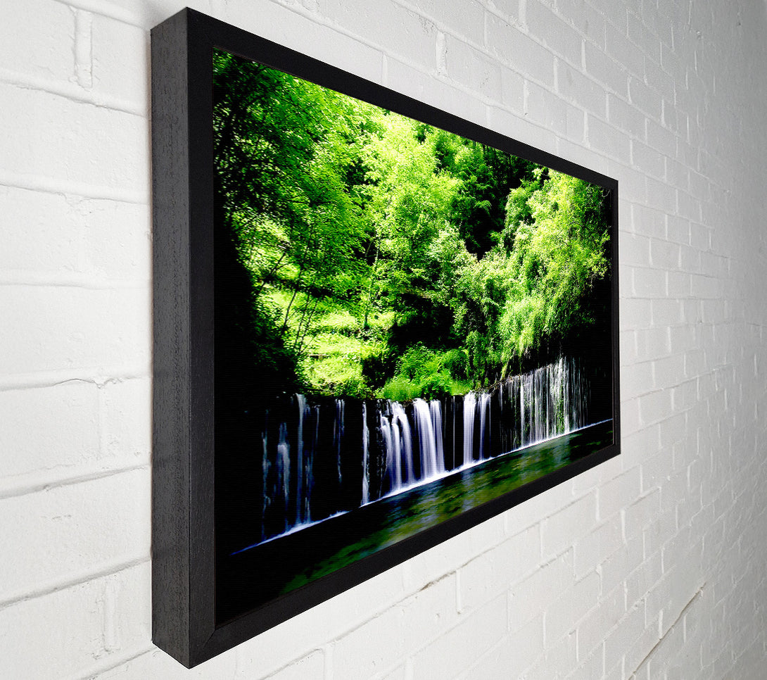  A Canvas Print of Rain Forest Canvas Wall Art