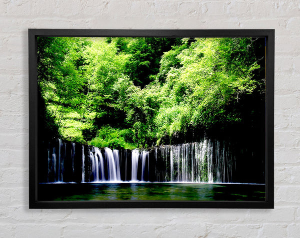 Rain Forest Framed Print