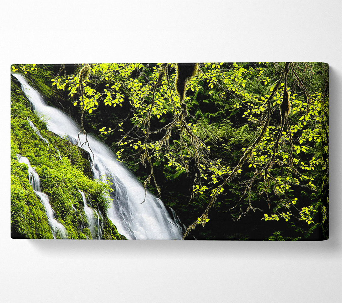  A Canvas Print of Mountain Waterfall Canvas Print