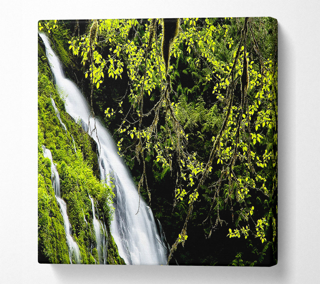  A Canvas Print of Mountain Waterfall Canvas Print