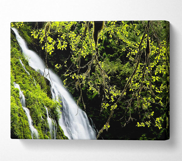  A Canvas Print of Mountain Waterfall Canvas Print