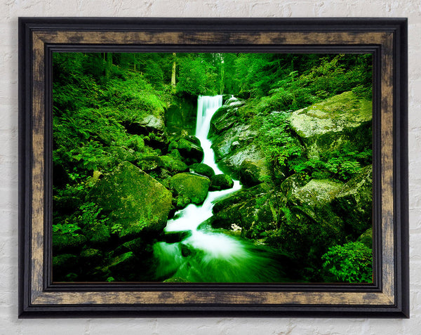 The Rocks In The Forest Stream Framed Print
