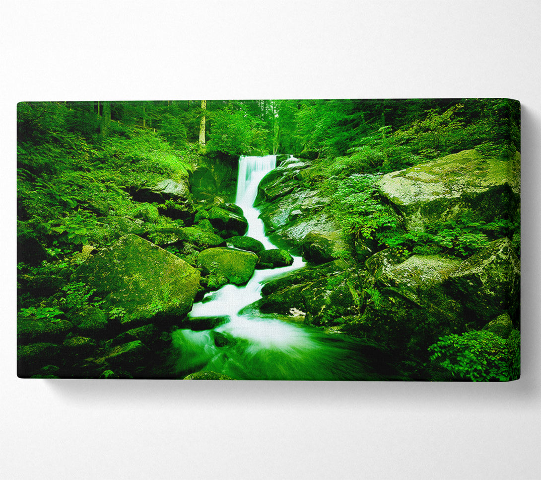  A Canvas Print of The Rocks In The Forest Stream Canvas Print