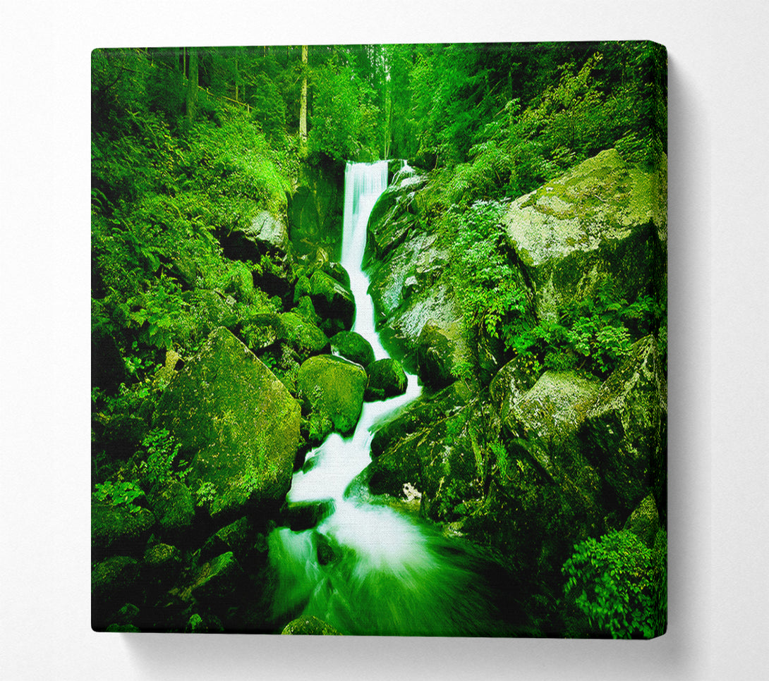  A Canvas Print of The Rocks In The Forest Stream Canvas Print