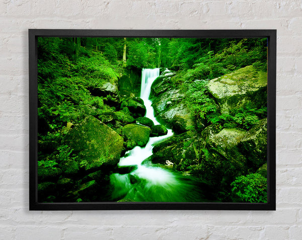 The Rocks In The Forest Stream Framed Print