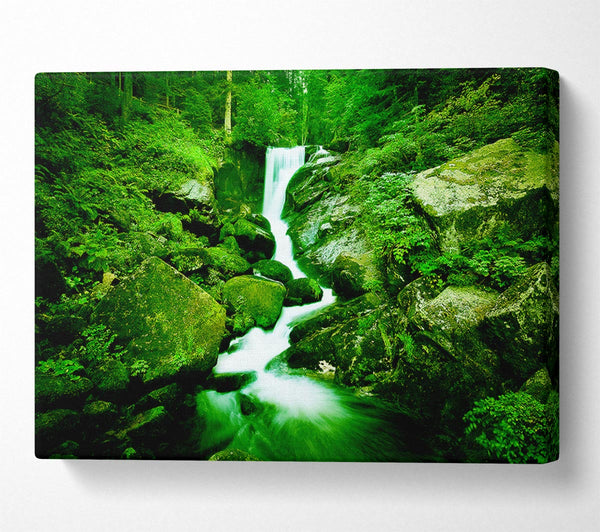  A Canvas Print of The Rocks In The Forest Stream Canvas Print