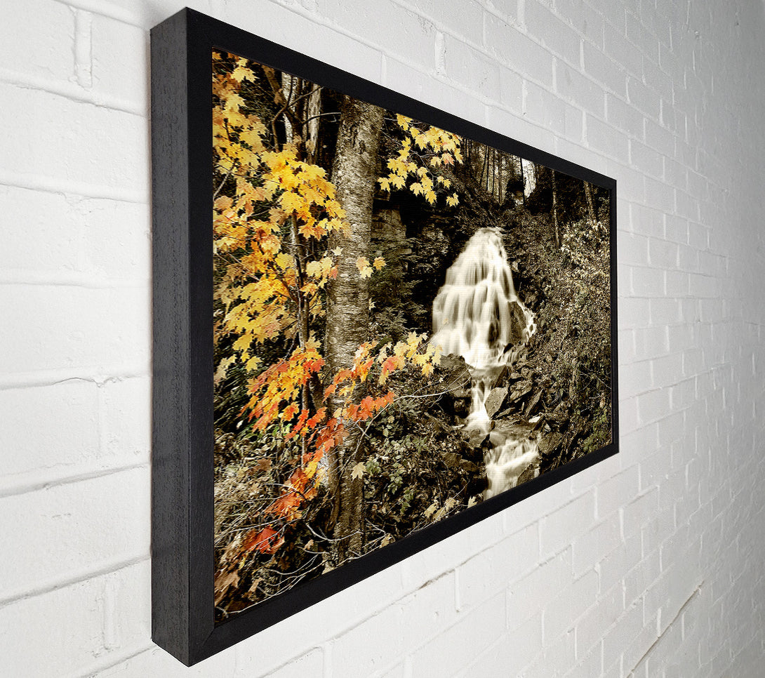  A Canvas Print of The Hidden Forest Stream Canvas Art