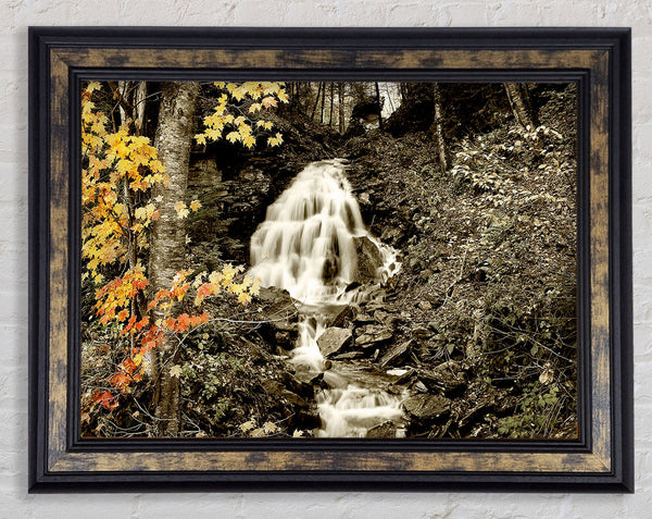 The Hidden Forest Stream Framed Print