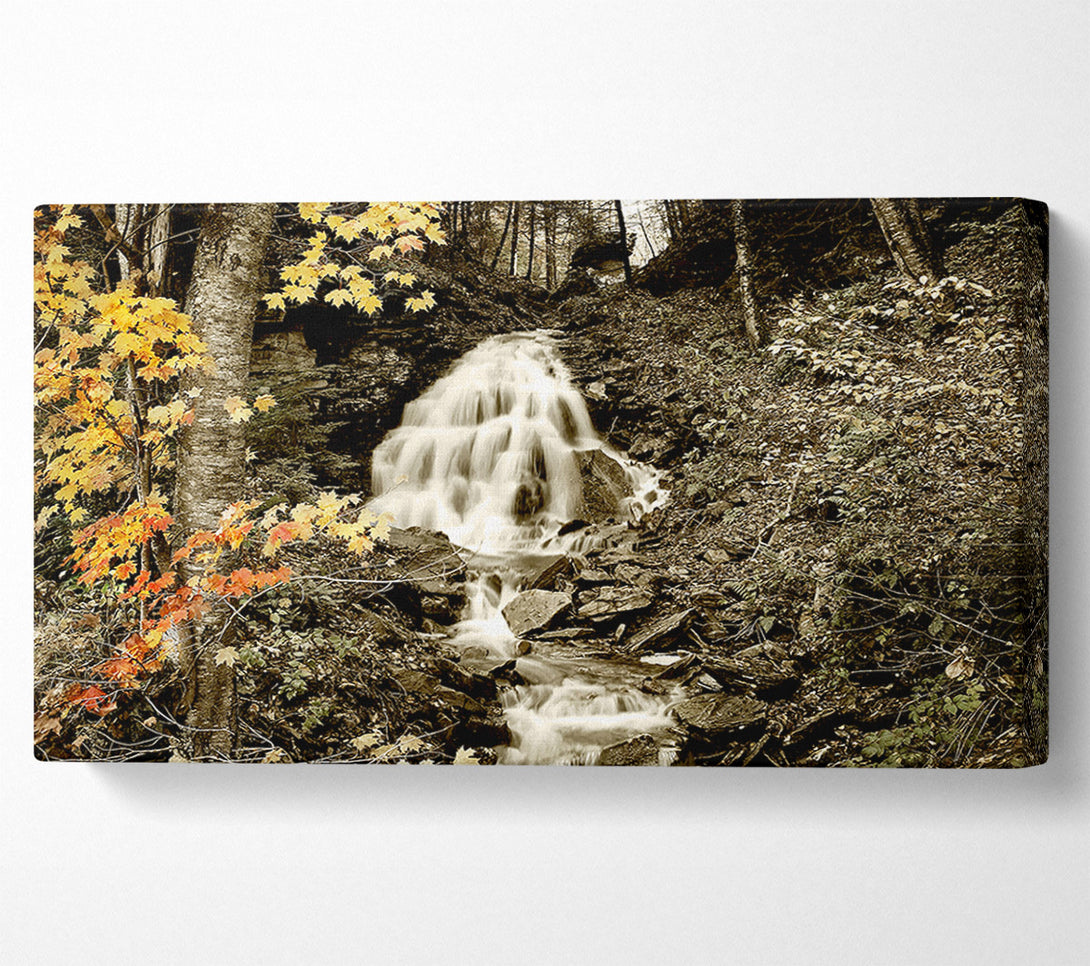  A Canvas Print of The Hidden Forest Stream Canvas Art