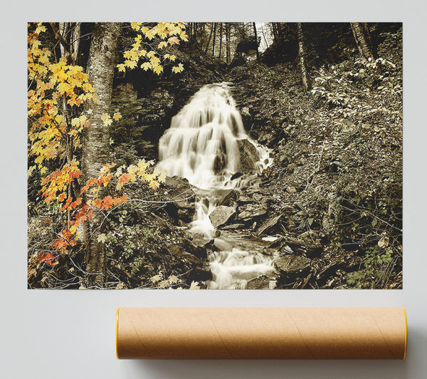 The Hidden Forest Stream Poster