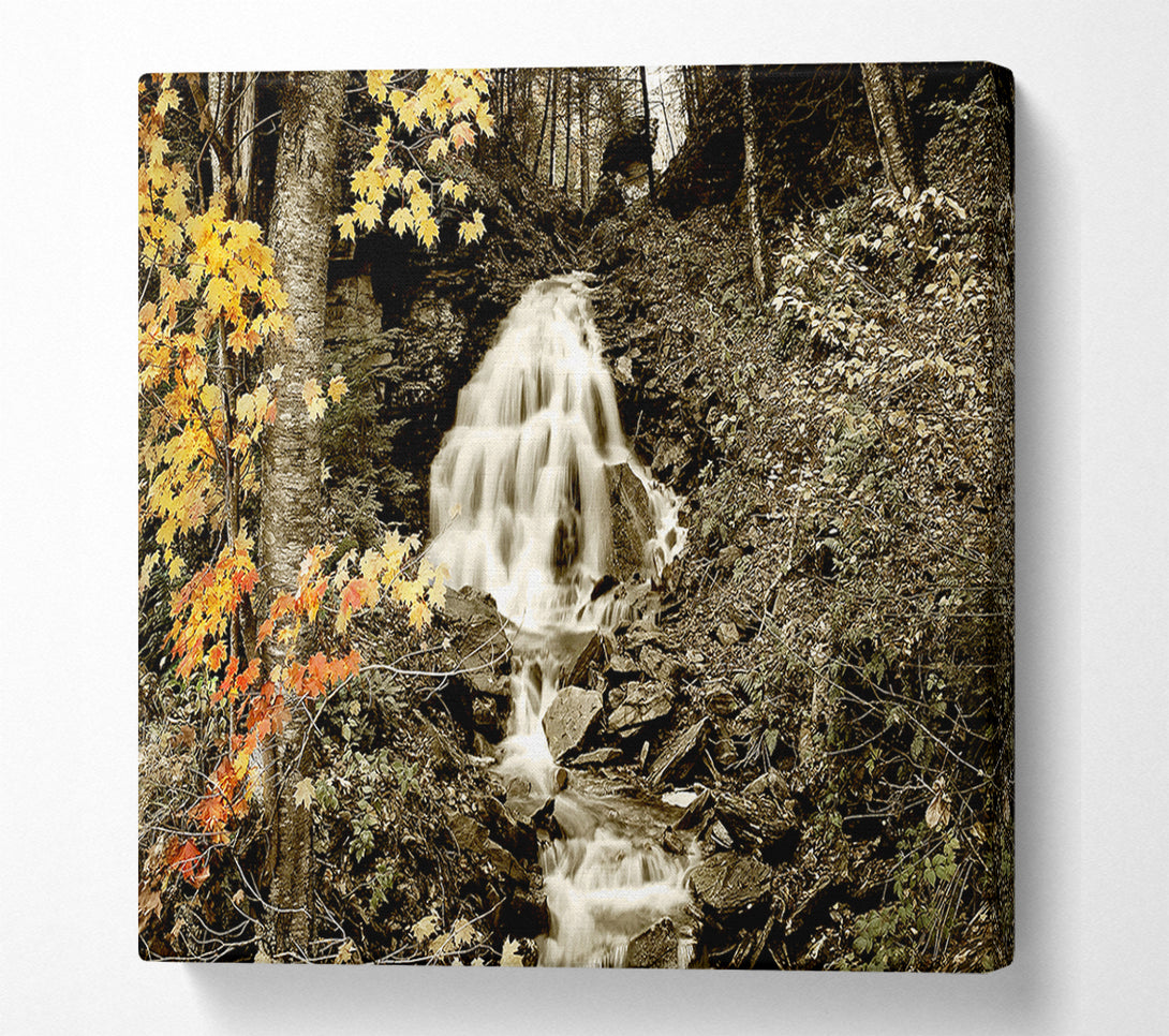  A Canvas Print of The Hidden Forest Stream Canvas Art