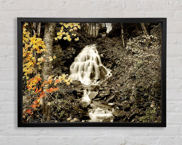 The Hidden Forest Stream Framed Print