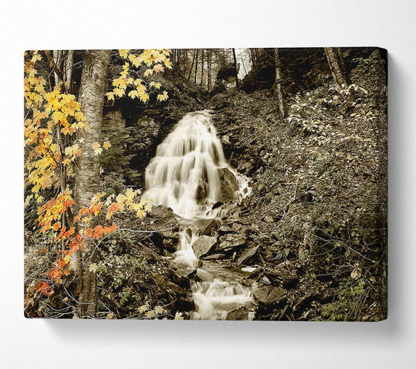  A Canvas Print of The Hidden Forest Stream Canvas Art