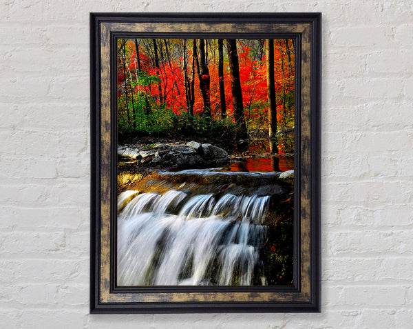 Autumn Waterfall Forest Framed Print