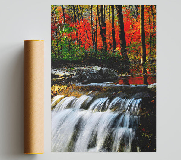 Autumn Waterfall Forest Giclee Print