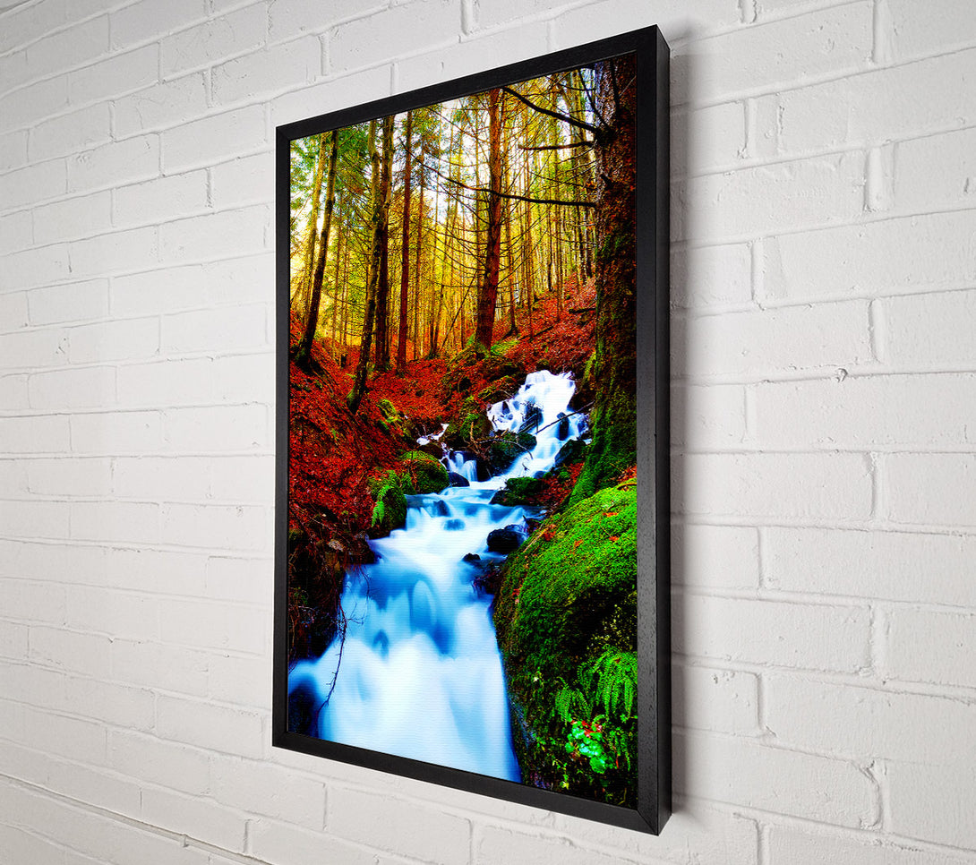  A Canvas Print of The Autumn Woodland Stream Canvas Print