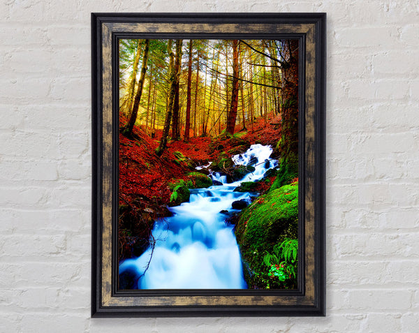 The Autumn Woodland Stream Framed Print