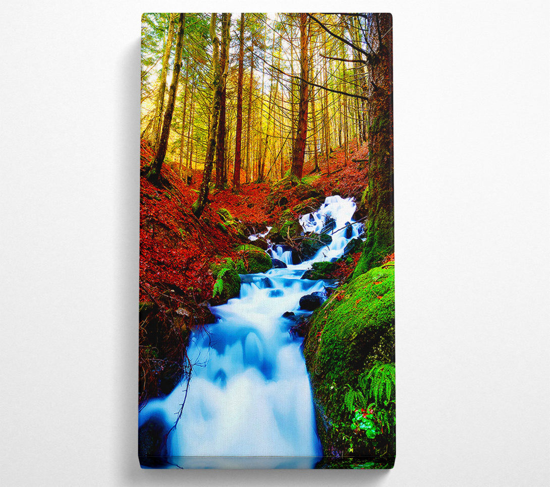  A Canvas Print of The Autumn Woodland Stream Canvas Print