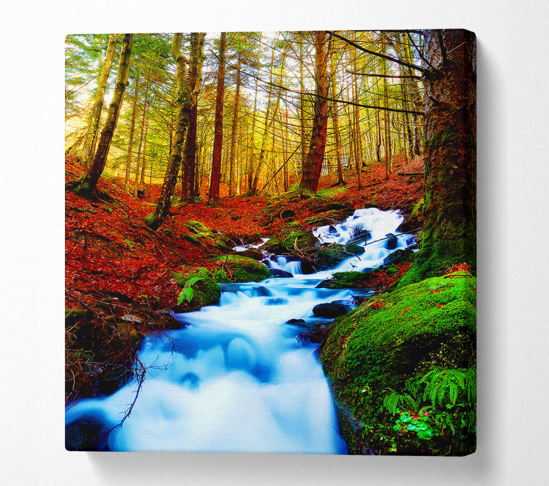  A Canvas Print of The Autumn Woodland Stream Canvas Print