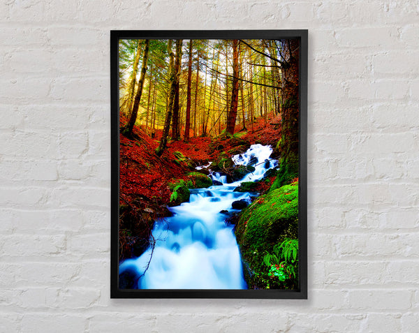 The Autumn Woodland Stream Framed Print