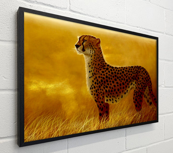 African Cheetah