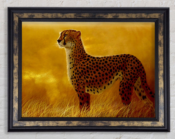 African Cheetah Framed Print