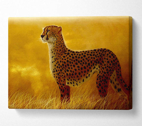  A Canvas Print of African Cheetah Canvas Art
