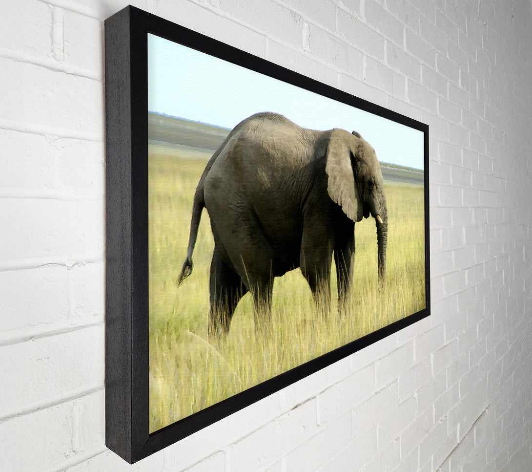  A Canvas Print of African Elephant Namibia Canvas Print