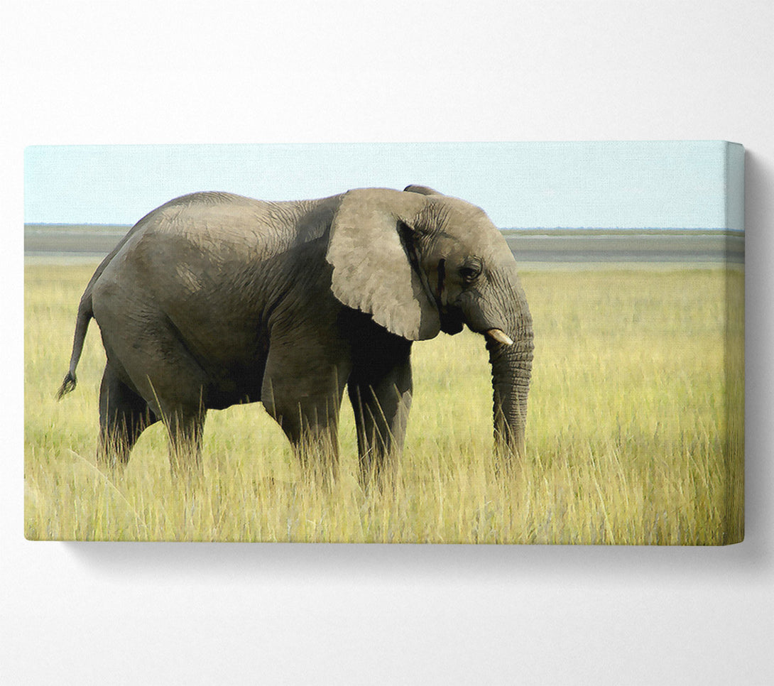  A Canvas Print of African Elephant Namibia Canvas Print