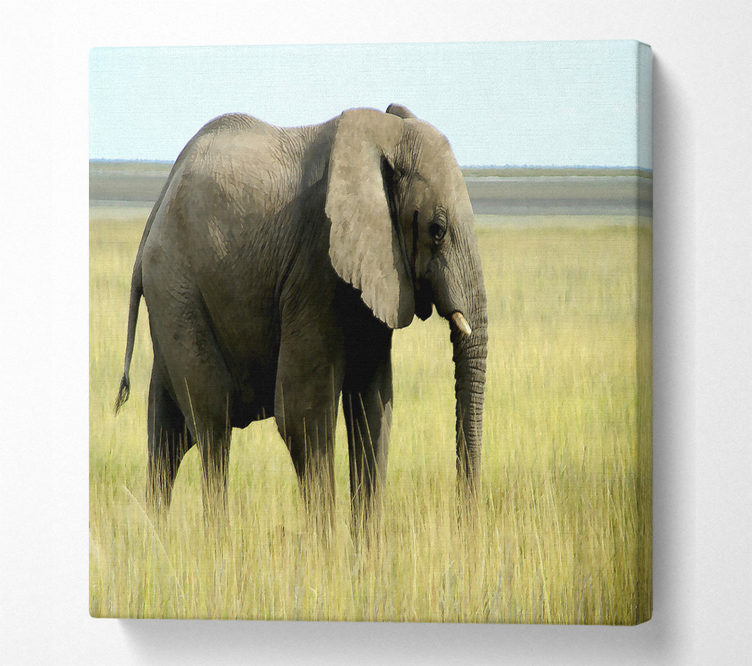  A Canvas Print of African Elephant Namibia Canvas Print