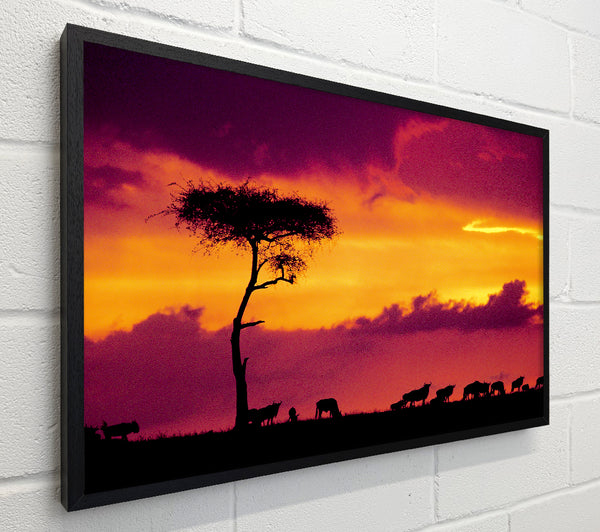 African Safari Sunset
