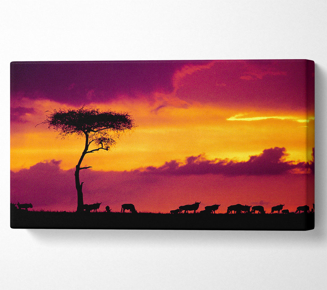  A Canvas Print of African Safari Sunset Canvas Wall Art