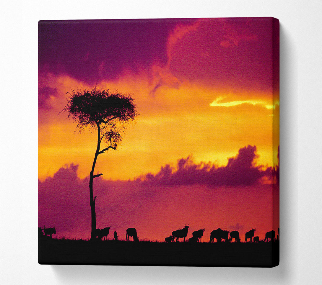  A Canvas Print of African Safari Sunset Canvas Wall Art