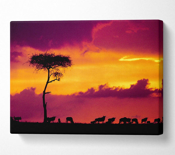  A Canvas Print of African Safari Sunset Canvas Wall Art