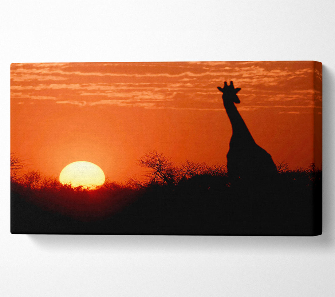  A Canvas Print of African Sunset Giraffe Canvas Wall Art